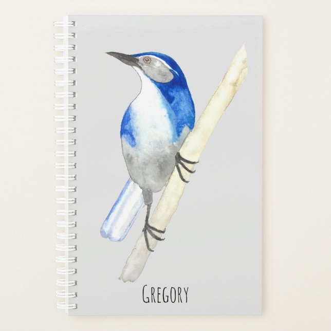 Custom California Scrub Jay Planer (Vorderseite)