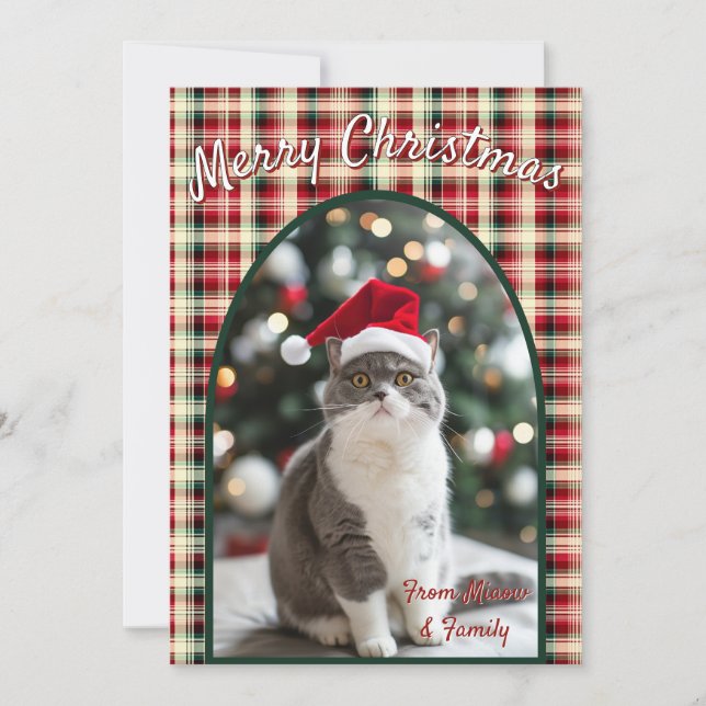 Custom Cat Christmas Feiertagskarte (Vorderseite)