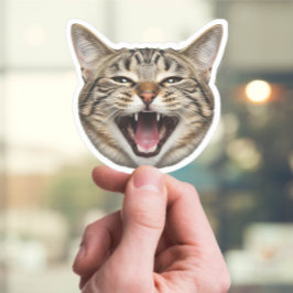 Custom Cat Face Sticker - Funny Personalisiertes F