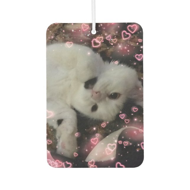 Custom Cat Foto Car Air Freshener Autolufterfrischer (Vorderseite)