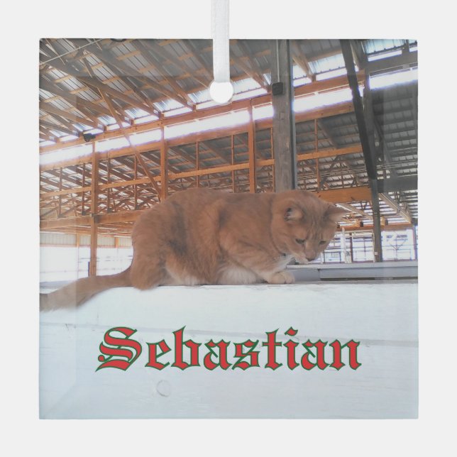 Custom Cat Glass Ornament (Vorderseite)