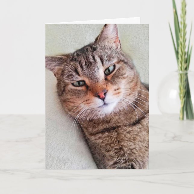 Custom Cat Miss Dir eine große Karte (Vorderseite)