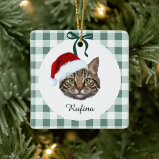 Custom Cat Photo & Name Christmas Ornament