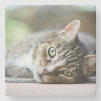 Custom Cat Photo Pet Lover Gift Steinuntersetzer