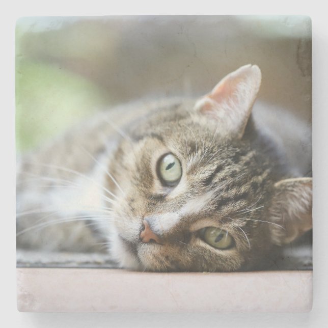 Custom Cat Photo Pet Lover Gift Steinuntersetzer (Vorderseite)