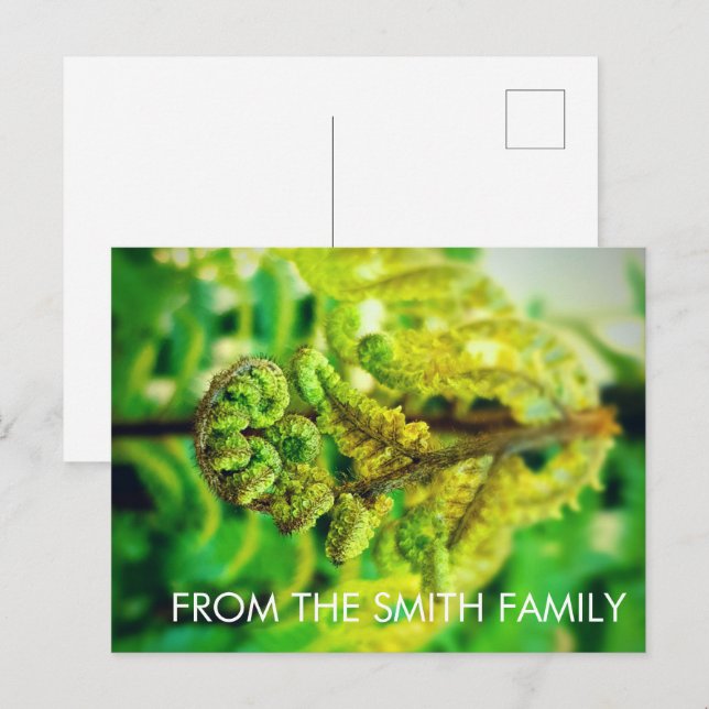 CUSTOM CHIC GREEN LEAFE TROPICAL FERN NEW ZEALAND POSTKARTE (Vorne/Hinten)