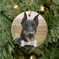 Custom Doberman Dog Foto