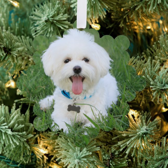 Custom Dog Foto Ornament Red Karte (Insitu (Baum))