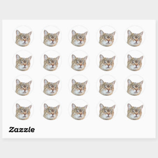 Custom Face Stickers Personalized Cat Face Photo