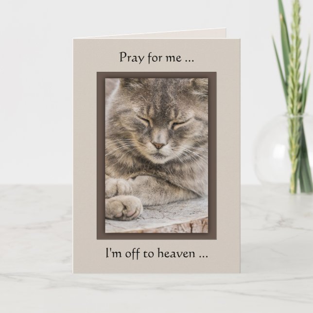 Custom Foto Cat Sympathy Card Karte (Vorderseite)