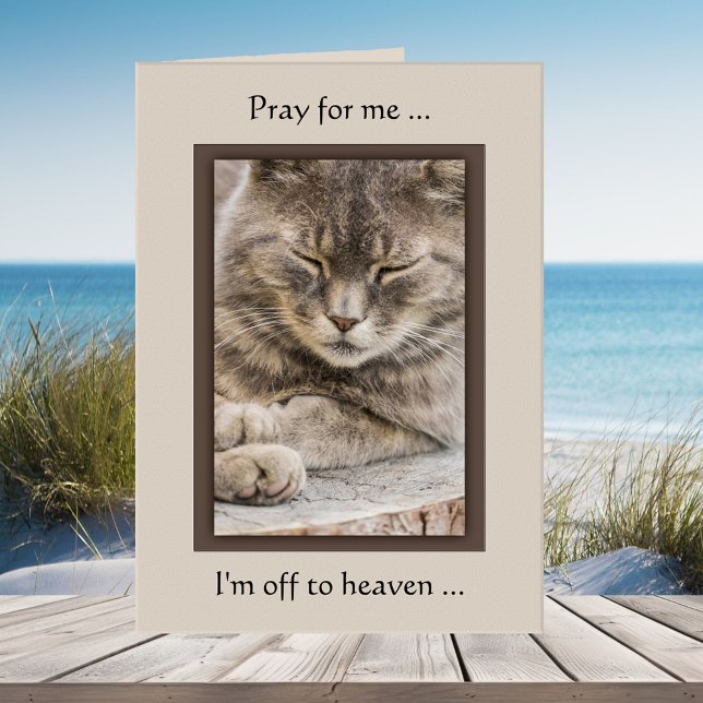Custom Foto Cat Sympathy Card Karte (Cat sympathy greeting card featuring your custom photo)