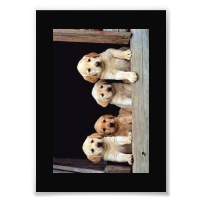 CUSTOM FOTO DRUCKEN (Vorne)