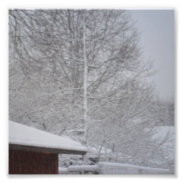 CUSTOM FOTO DRUCKT 6 X6