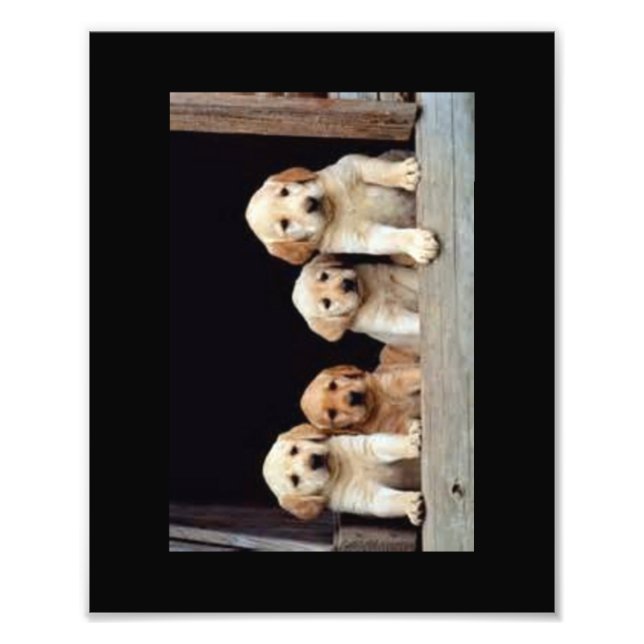 CUSTOM FOTO DRUCKT 8 X 10 (Vorne)