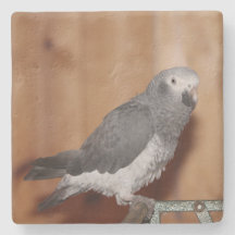 CUSTOM FOTO UNTERSETZER