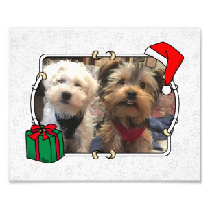 Custom Foto Weihnachts-Weihnachtsmannmütze Pet HO