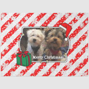 Custom Foto Weihnachts-Weihnachtsmannmütze Pet HO  Seidenpapier