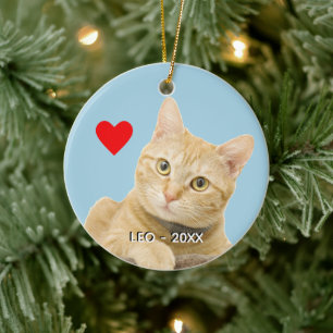 Custom Ginger Tabby Cat Foto auf Light Blue Keramik Ornament