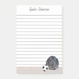 Custom Grau Guinea Pig Pet Fußball Ball Linken Post-it Klebezettel