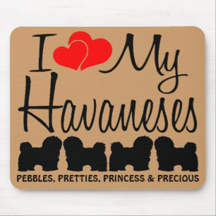 Custom I Liebe meine vier Havaneses Mousepad