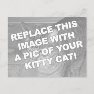 Custom Kitty Cat Postkarte