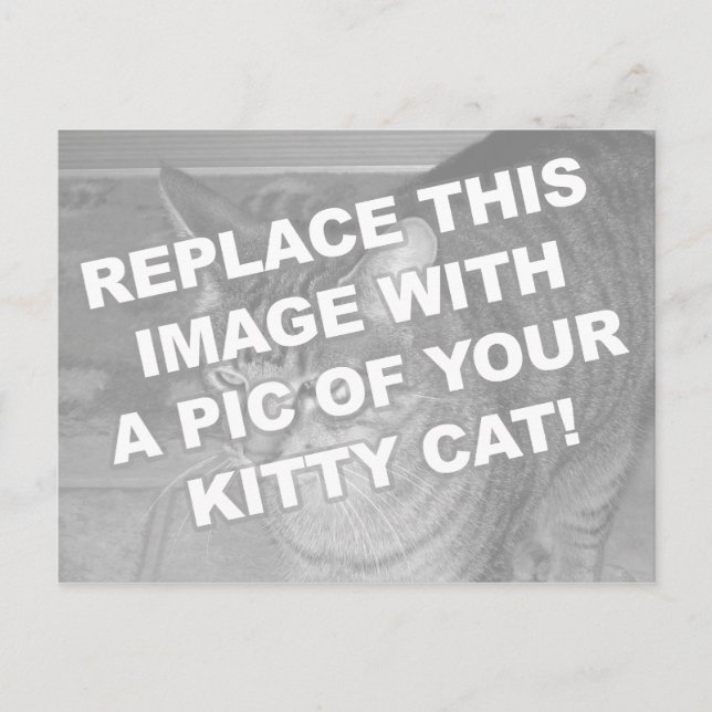 Custom Kitty Cat Postkarte (Vorderseite)