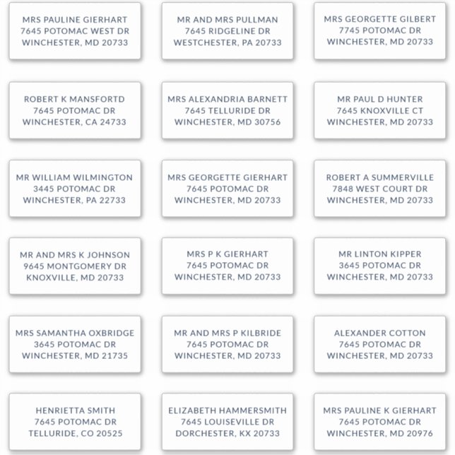 Custom Name 18 Shipping Large Address Labels (Vorderseite)