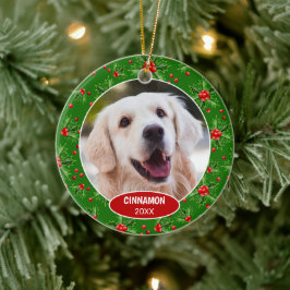 Custom Niedlich Pet Foto 1. Weihnachtsfest auf Hol Keramik Ornament