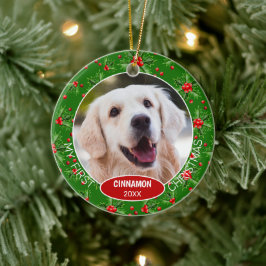 Custom Niedlich Pet Foto 1. Weihnachtsfest auf Hol Keramik Ornament