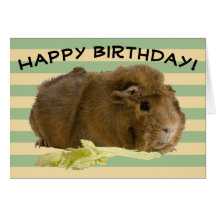 Custom Pastel Stripes Adorable Guinea Pig Foto