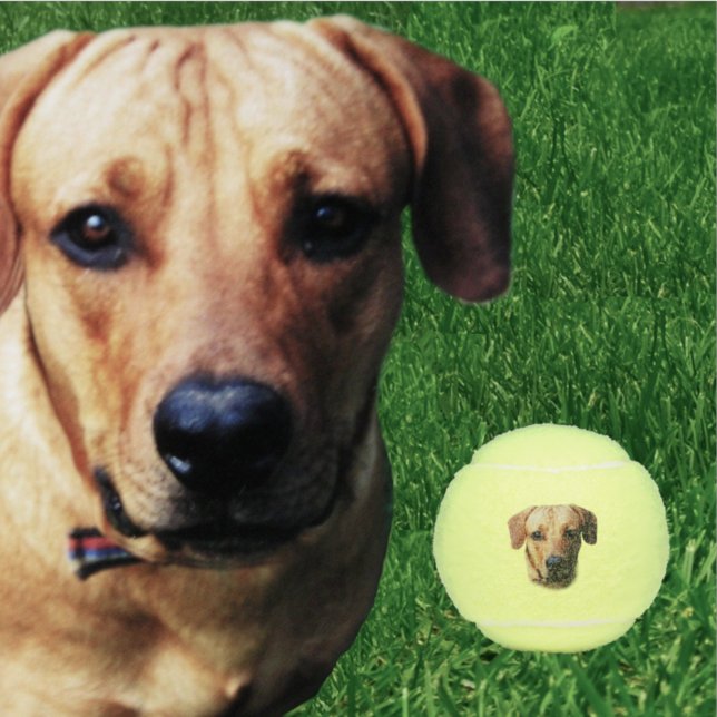 Custom Personalisiert Dog Tennis Balls Tennisbälle (Von Creator hochgeladen)