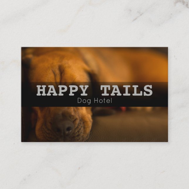 Custom Pet Boarding Hotel Sitting Services Visitenkarte (Vorderseite)