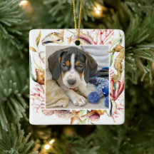 Custom Pet Foto Beach Weihnachten