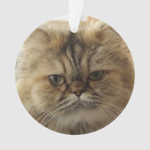 CUSTOM PET FOTO CAT ORNAMENT