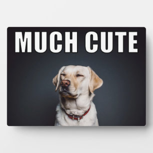 Custom Pet Foto Funny Much Niedlicher Meme Stil Fotoplatte