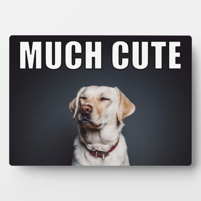 Custom Pet Foto Funny Much Niedlicher Meme Stil Fotoplatte (Vorderseite)