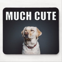Custom Pet Foto Funny Much Niedlicher Meme Stil
