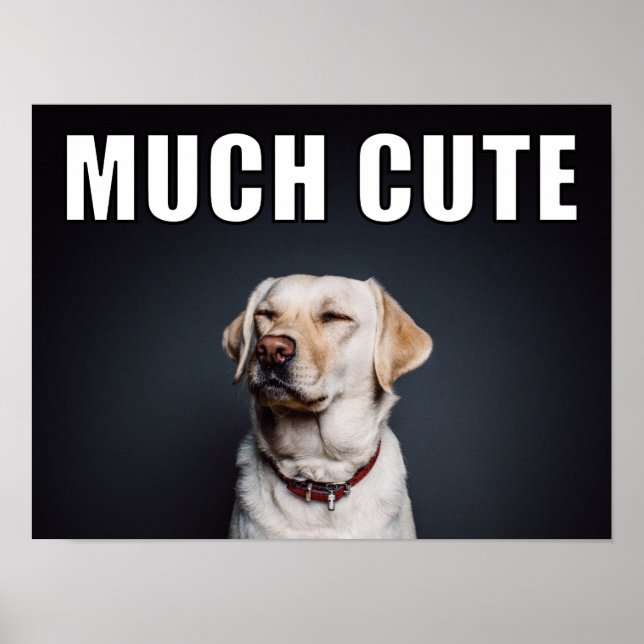 Custom Pet Foto Funny Much Niedlicher Meme Stil Poster (Vorne)