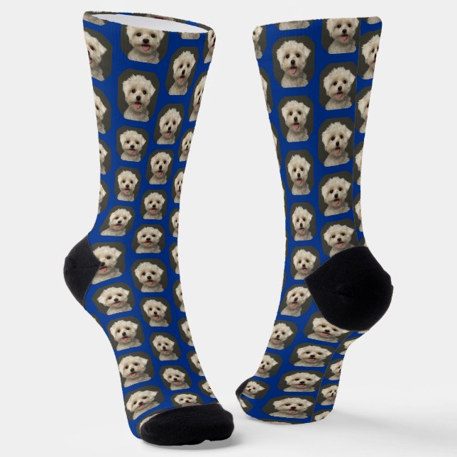 Custom Pet Foto Sporty Blue Niedlich Socken (Gewinkelt)