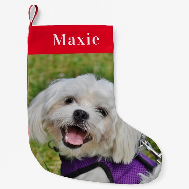 Custom Pet Hund Foto Holiday Red Personalisiert Kleiner Weihnachtsstrumpf (Vorderseite)