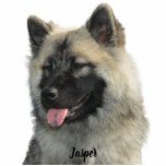 Custom Pet Keepsake Using Your Photo Name Fotoskulptur Ornament<br><div class="desc">Send a message if you need help creating this, With just one photo you can make a stand alone sculpture, magnet, ornament, pin or keychain. Custom Pet Custom Pet keepsake Using Your Photo Name, Custom Dog keepsakeDog, Personalized Pet keepsake, Dog Mom keepsake, Personalized pet keepsake, cat dog Dad keepsake, New...</div>