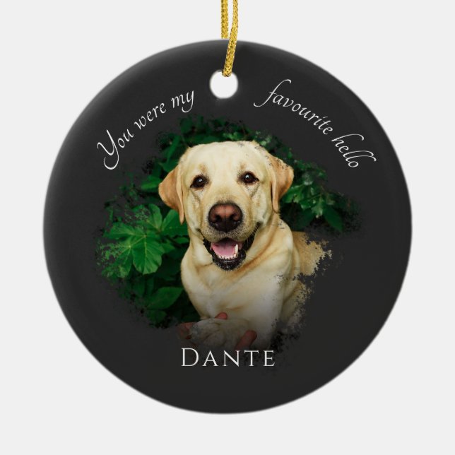 Custom Pet Memorial Fotografy Grau Keramik Ornament (Vorne)