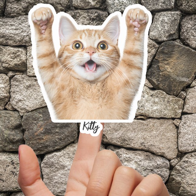 Custom Pet Stickers – Dog & Cat Photo Vinyl Decals Aufkleber (Custom Pet Stickers – Dog & Cat Photo Vinyl Decals)