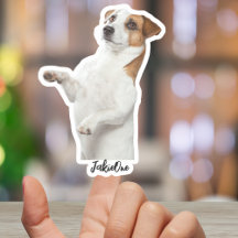 Custom Pet Stickers – Dog & Cat Photo Vinyl Decals