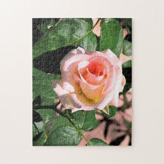 CUSTOM PINK ROSE ON VINE PUZZLE (Vertikal)
