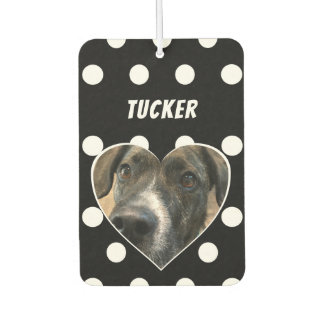 Custom Polka Dot Dog Foto mit Name Autolufterfrischer