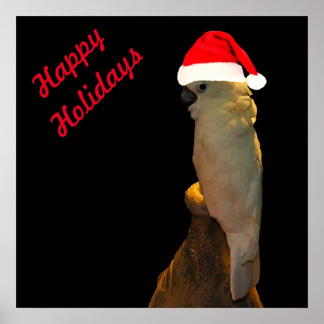Custom Posing santa Urlaub Cockatovogel Poster (Vorne)