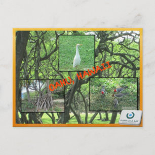 CUSTOM POSTCARDS- HAWAII COLLAGE# 14 POSTKARTE