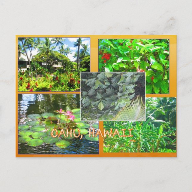 CUSTOM POSTCARDS- HAWAII COLLAGE# 16 POSTKARTE (Vorderseite)