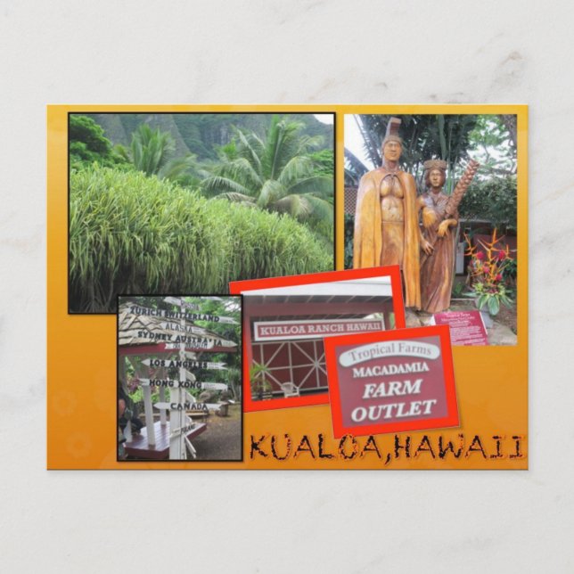 CUSTOM POSTCARDS- HAWAII COLLAGE# 25 POSTKARTE (Vorderseite)